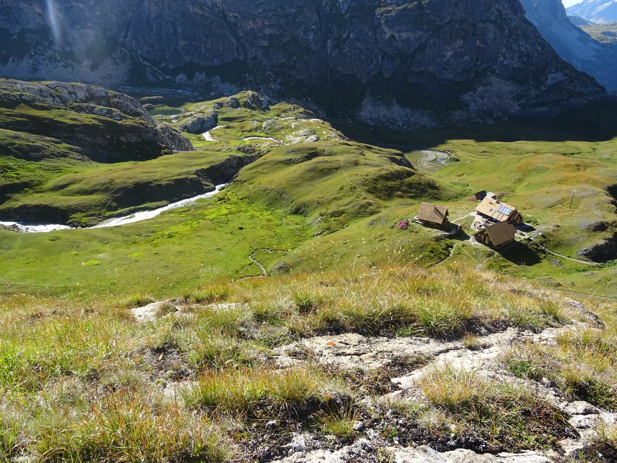 Fours à bois - Swiss Fours