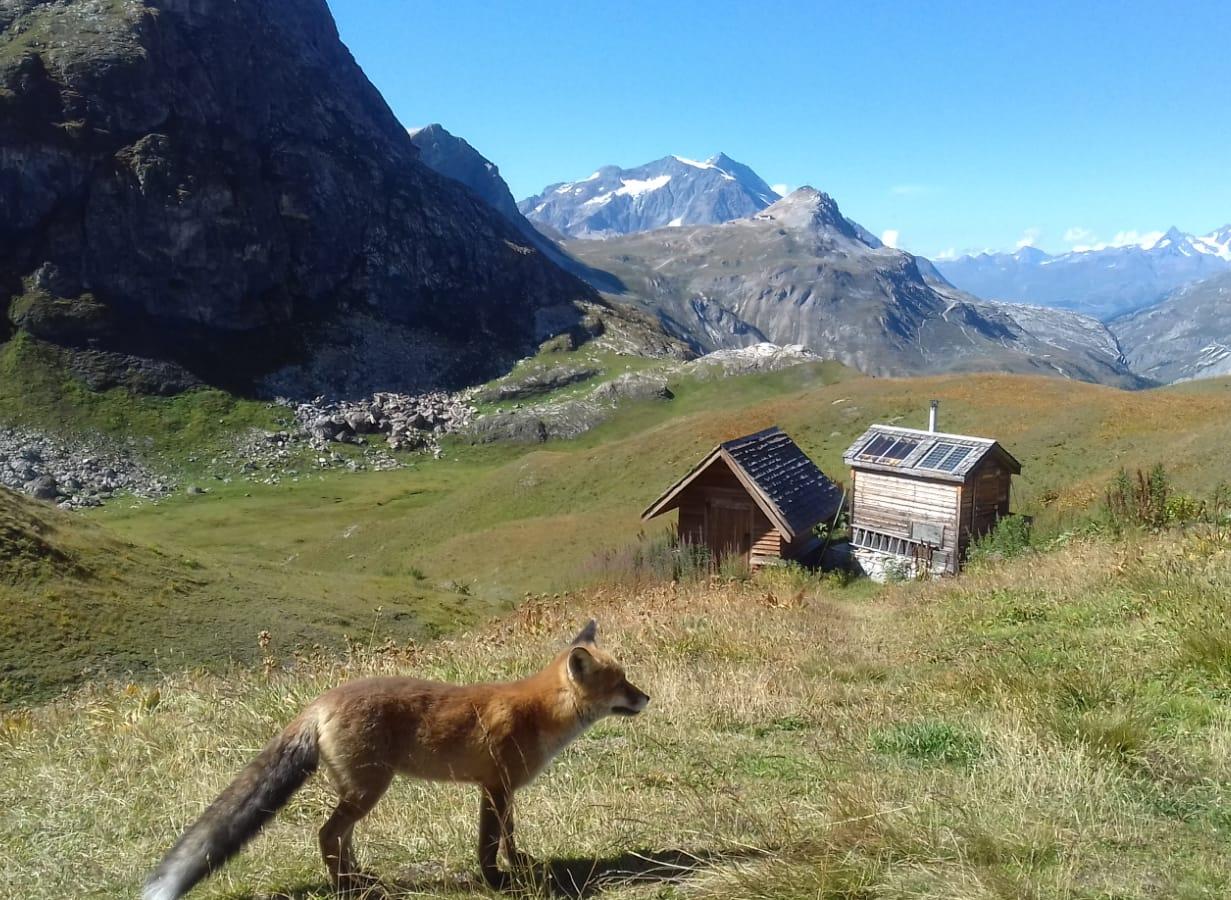 REFUGE FOND DES FOURS